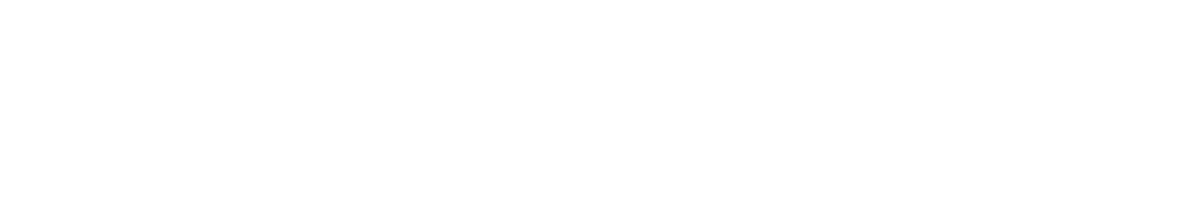 Sarbast Script